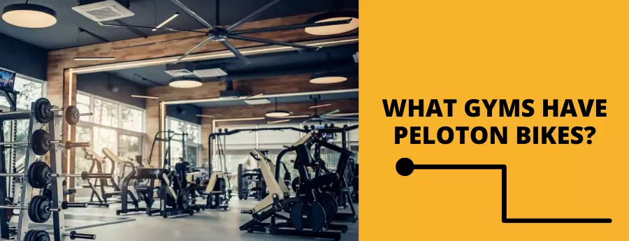 What Gyms Have Peloton Bikes