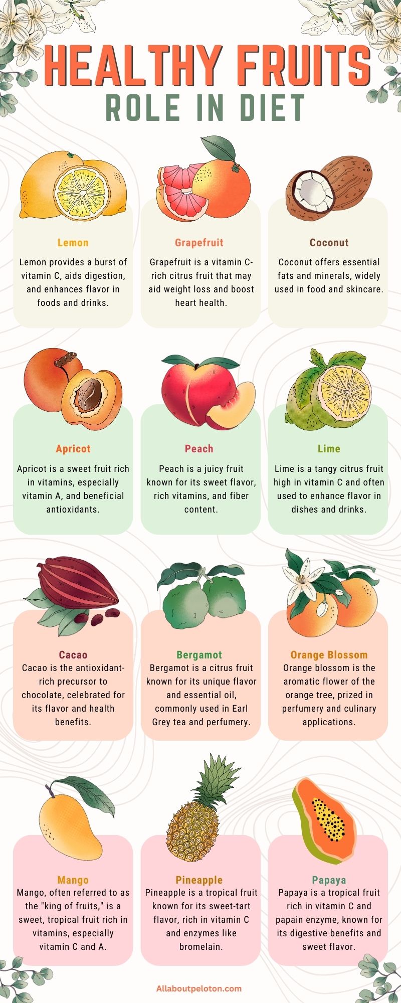 fruits role